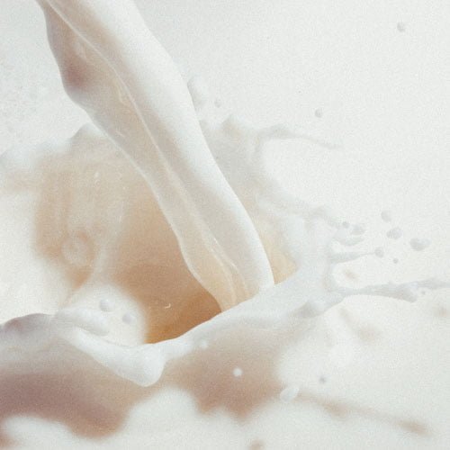 LIUR creamy af fragrance notes milk